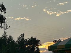 -重庆海昌加勒比海水世界