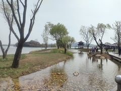-渤公岛生态公园