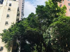 -香港大学