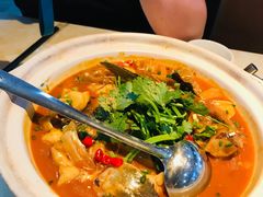 -魏铭鱼头捞饭(晋阳路店)