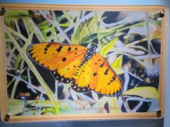 -上海昆虫博物馆