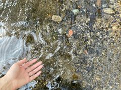 -白水寺森林公园