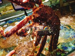 -森谷美食公园(杨行店)