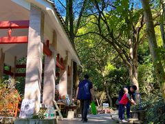 -火炉山森林公园