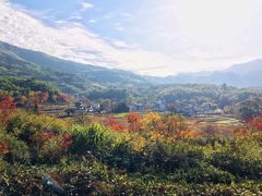 -塔川景区