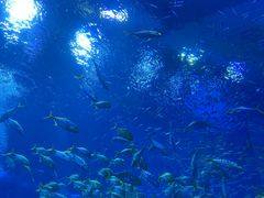 -成都浩海立方海洋公园