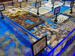 -鲜得莱渔港·小平岛海胆馆(七贤岭店)