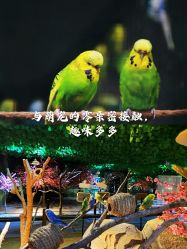 -酷嗒动物文化乐园(cutezoo西溪乐天城店)