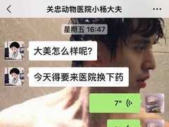 -瑞派·关忠动物医院·异宠专科·犬猫肿瘤·皮肤专科(望京店)