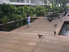 -金东尼人妖秀