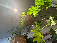 -懒人盐府人家·自贡大麻鱼(安贞店)