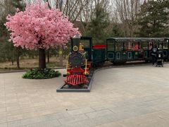 -南宫五洲植物乐园