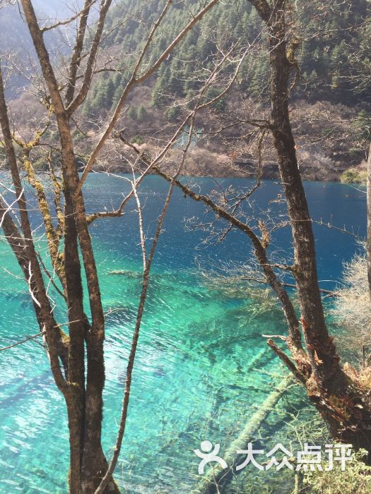 金铃海-图片-九寨沟县周边游-大众点评网