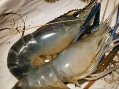 -雍和会海鲜姿造自助(湖东路店)