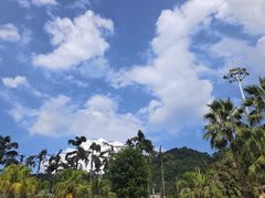 -重庆海昌加勒比海水世界