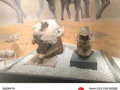 -国家自然博物馆