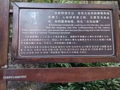 -燕子河大峡谷天坑仙境