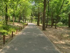 -国家植物园南园