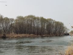-森林公园(尖草坪区)