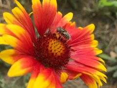 -北运河水利风景区