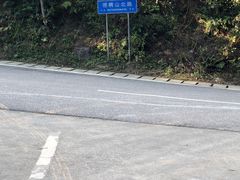 -梧桐山风景名胜区