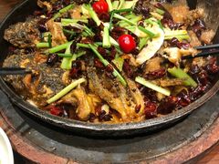 -老板恋上鱼(荣盛广场店)