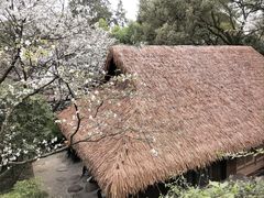 -中国茶叶博物馆(双峰馆区)