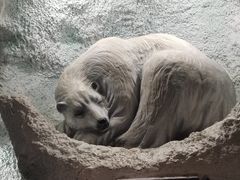 -郑州海洋馆