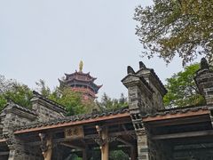-厦门园林博览苑