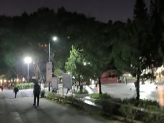 -星海公园(番禺区)