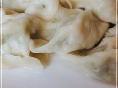 -百味园饺子馆