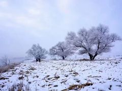 -丽江泸沽湖景区