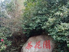 -白云山风景名胜区