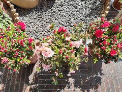 -华雅·云缦酒店(岳阳楼区火车站店)