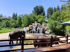 -北京野生动物园