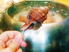 海螺-海味当家·蒸锅海鲜(星海公园店)