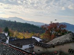 -塔川景区