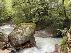 -西岭雪山大飞水景区