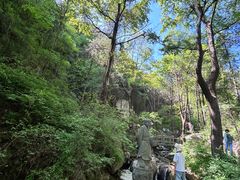 -王顺山国家森林公园
