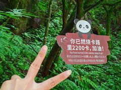 -西岭雪山大飞水景区