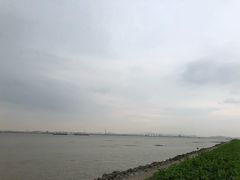 -海鸥岛