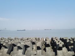 -上海滨江森林公园
