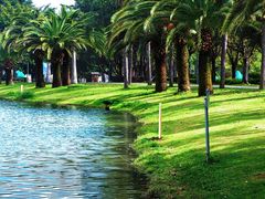 -湖泉水云间餐厅·弥勒地道菜(B座店)