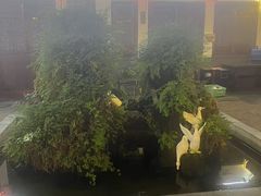 -炑羊香烤全羊(西三旗店)