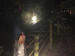 -南紀白浜 浜千鳥の湯 海舟