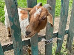 -哈尔滨北方森林动物园