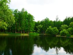 -上海共青森林公园