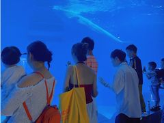 -海合安成都极地海洋公园