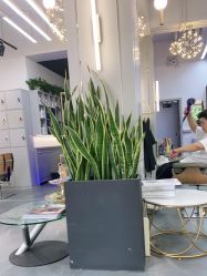 -FUTURE HN男士发型风格设计