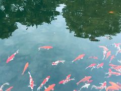 -西郊宾馆·1921餐厅